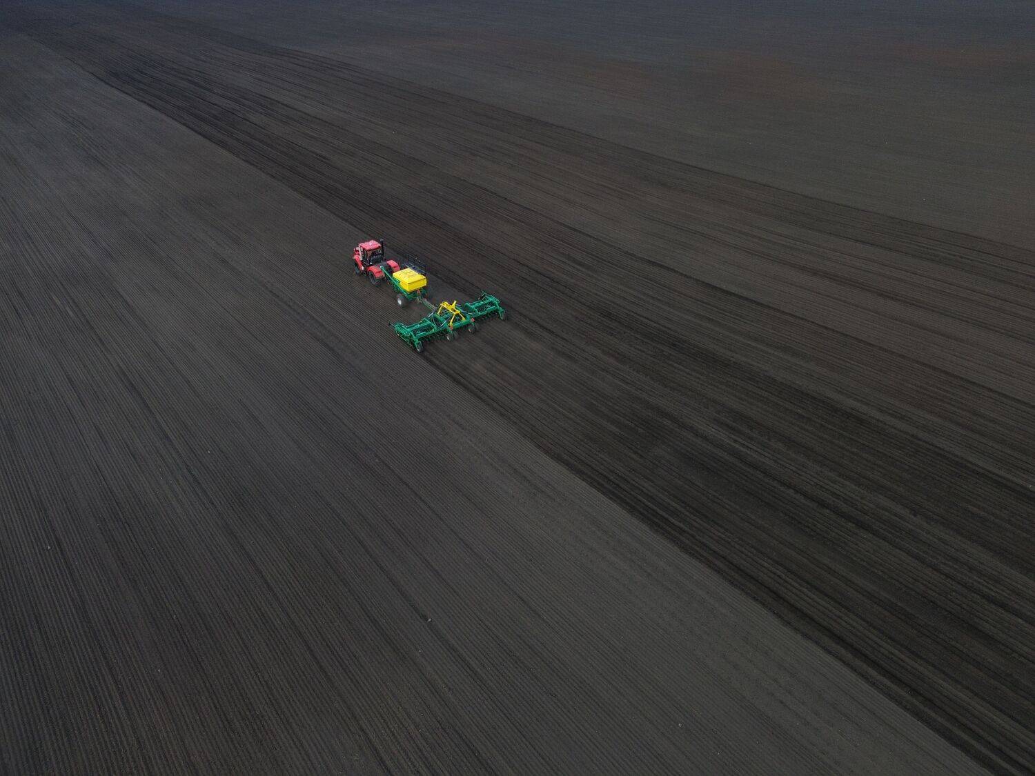 , Андрей Пучков