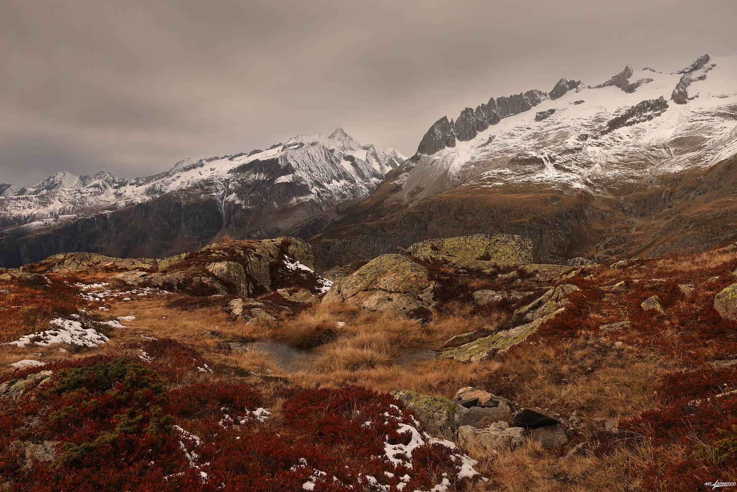 swiss, Матвеев Николай