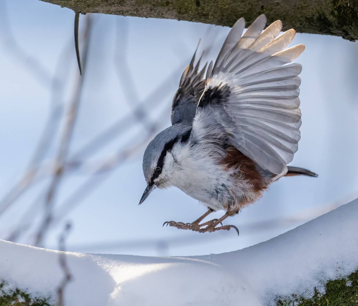 , Дем Константин