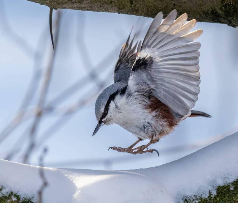 Паркур фото превью