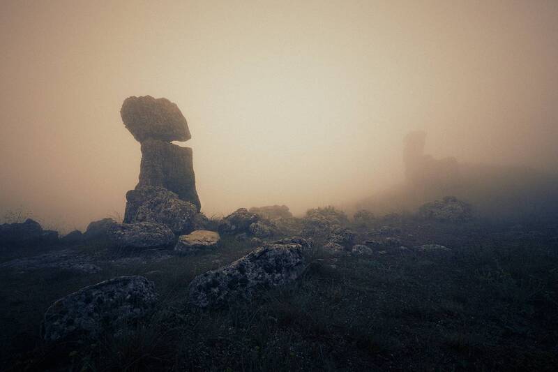 2025-04-24 фото превью