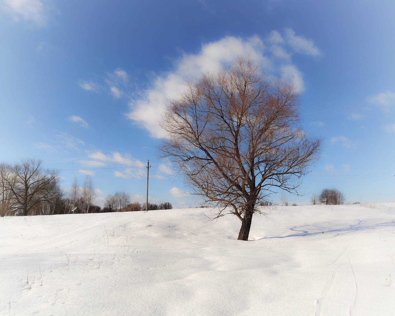 , Кондрашова Светлана