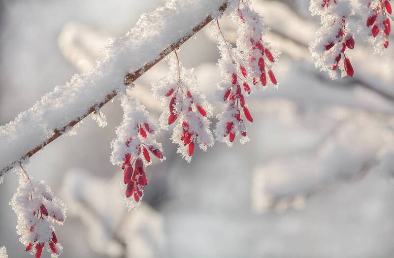 С праздником! (8 фото) фото превью