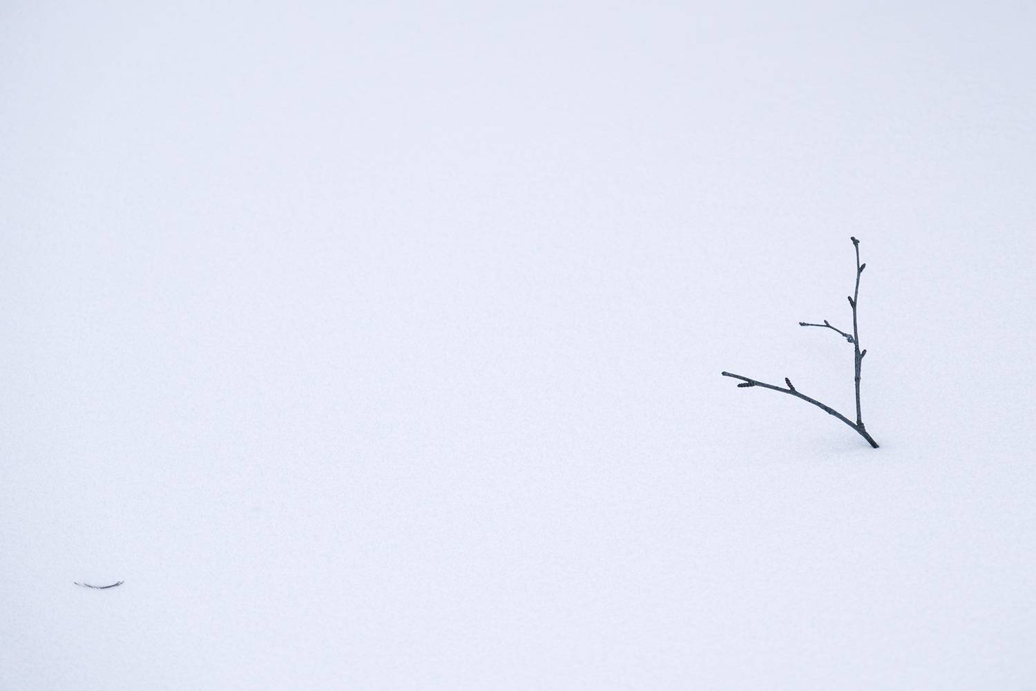 , Бодрягин Виталий