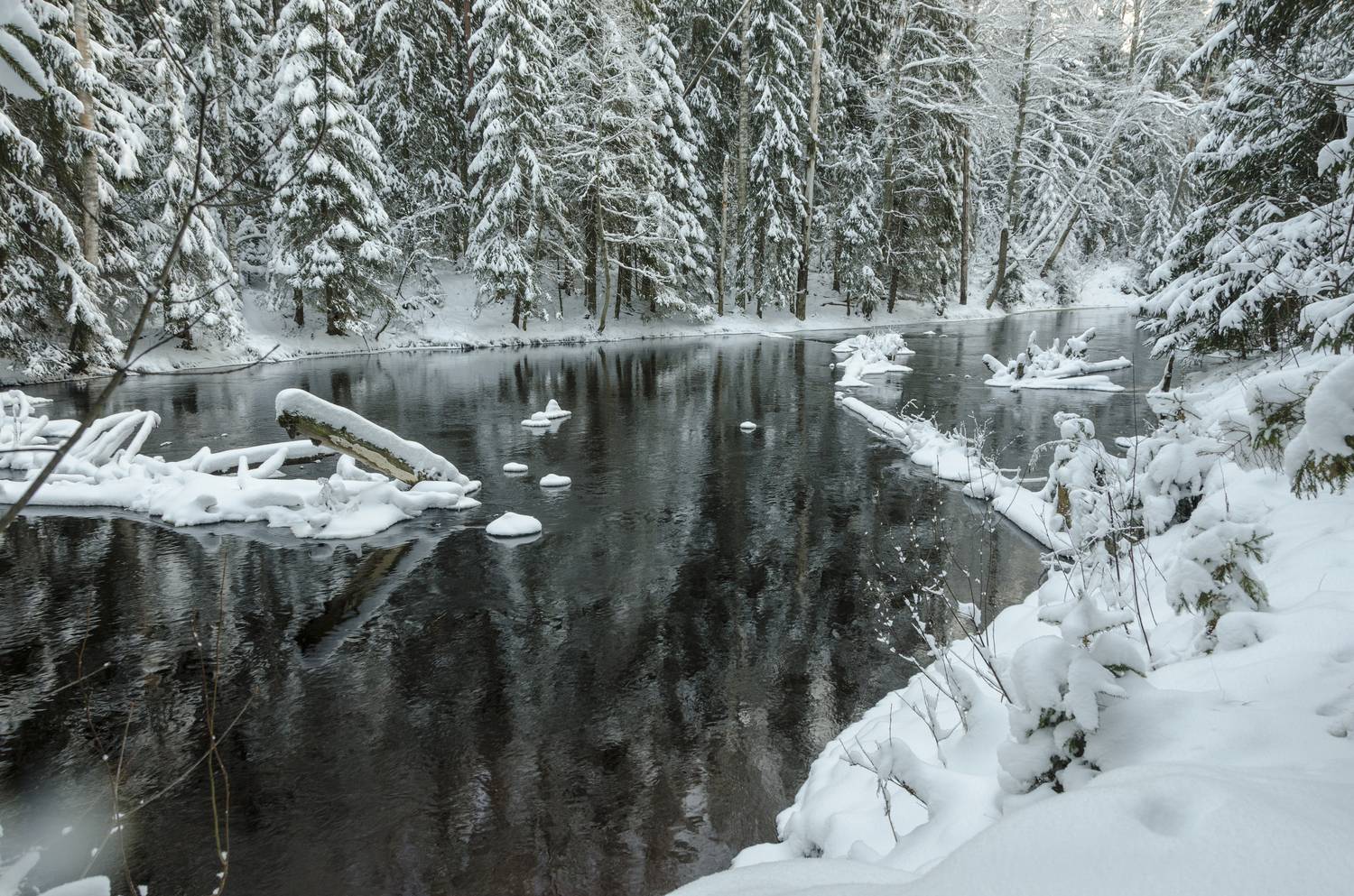 , Алексей Алешин