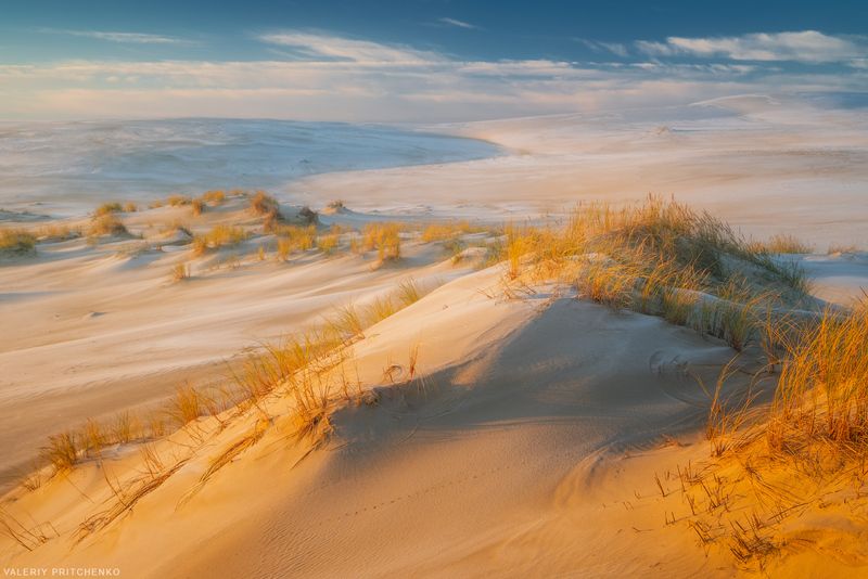 Иней в дюнах фото превью