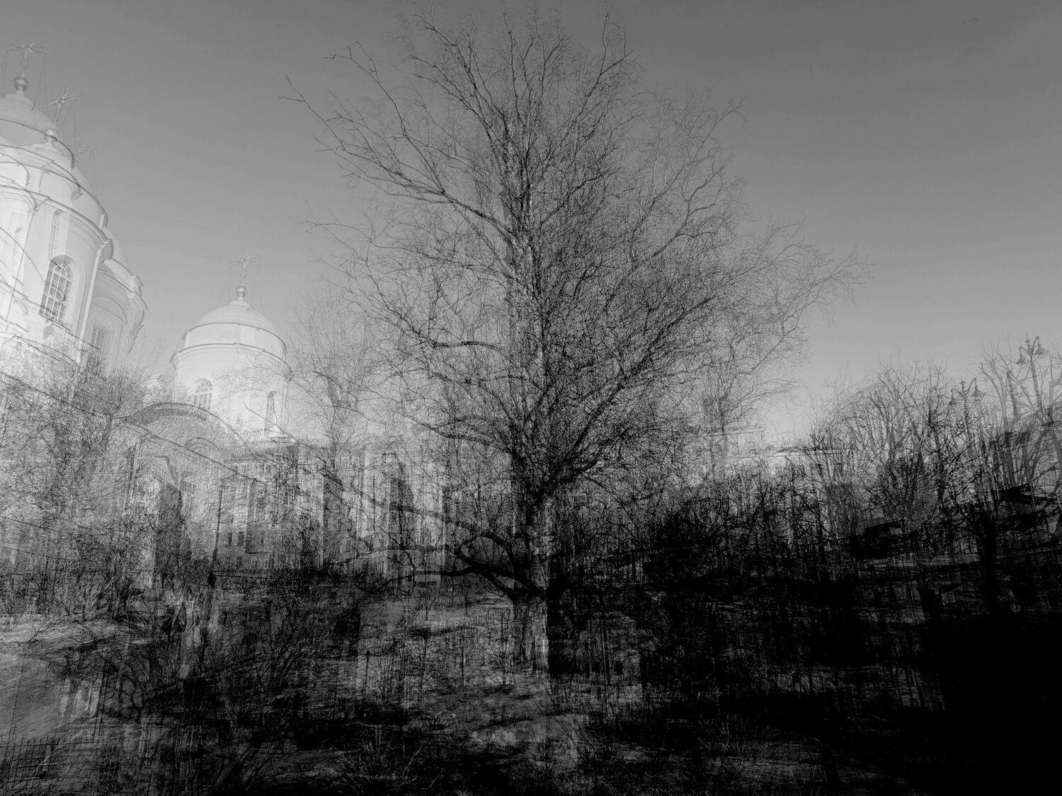 , Антон Лаба