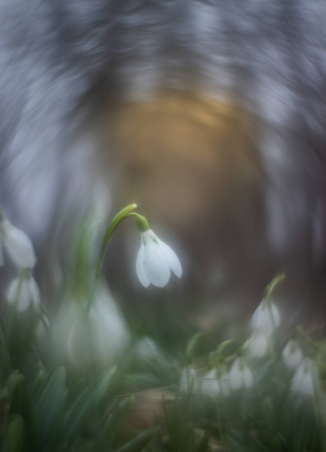 , Михаил Гапонов