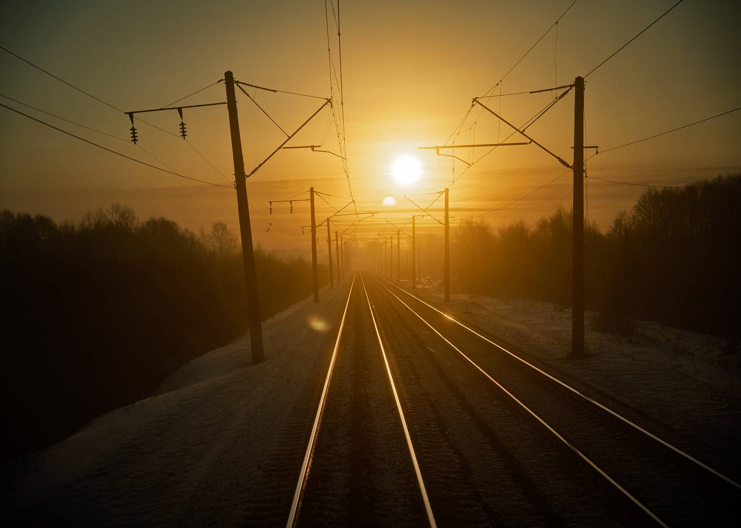 , Алексей Горохов