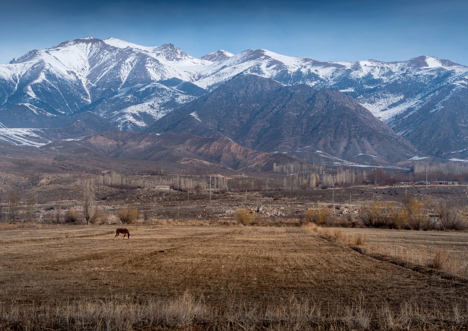 киргизия, кыргызстан, нд, тянь-шань, ала-тоо, алатау, тянь-шань нд, kyrgyzstan, Надежда Демкина