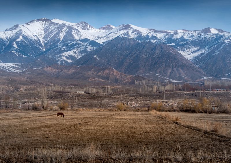 киргизия, кыргызстан, нд, тянь-шань, ала-тоо, алатау, тянь-шань нд, kyrgyzstan В Киргизию приходит весна... фото превью