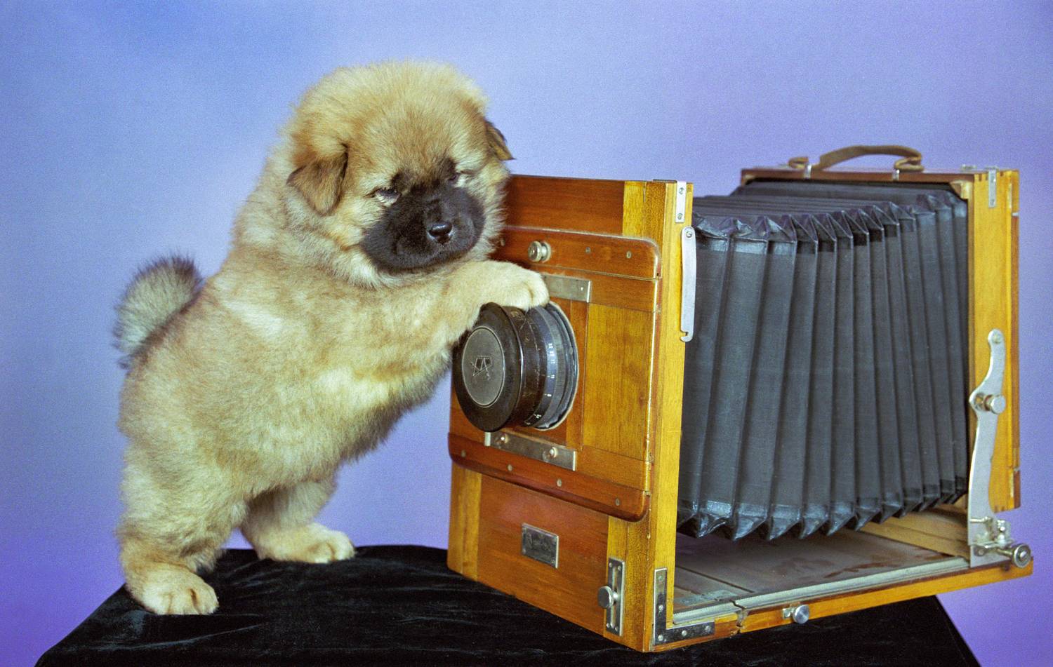 , Ушаков Валерий