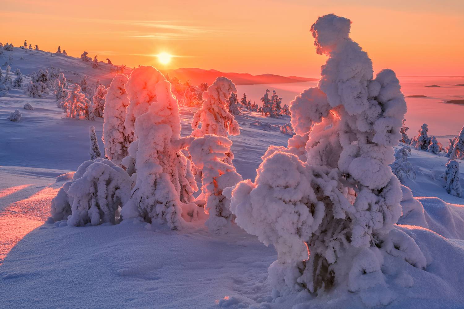 кольский, Евдокимов Максим