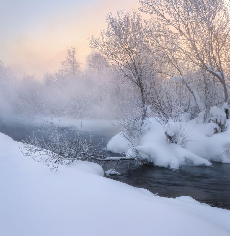В морозном тумане фото превью