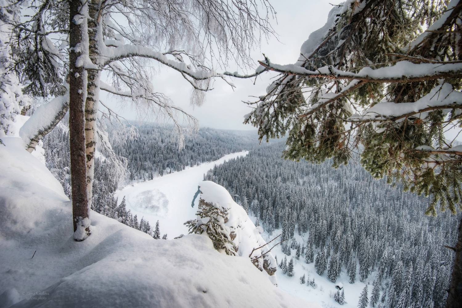 , Елена Соколова