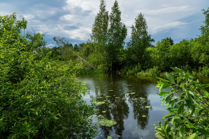 пейзаж Перед грозой фото превью