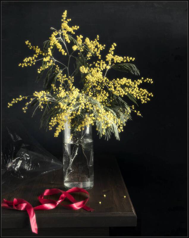 Мимоза фото превью