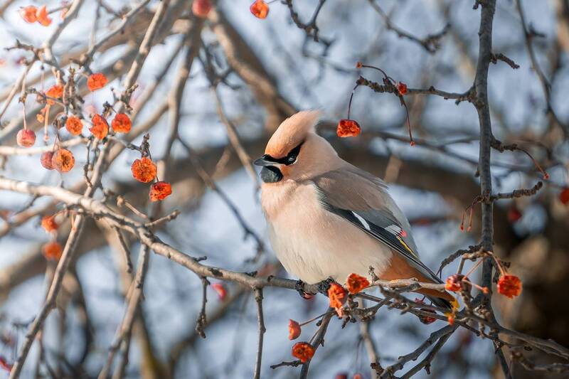 Из уральской глубинки фото превью