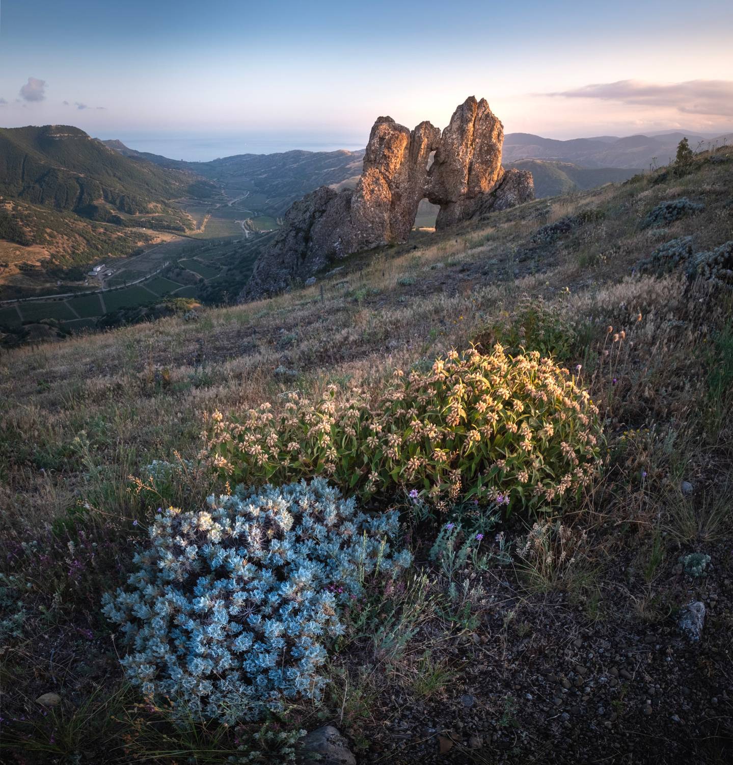 , Коротеев Вадим