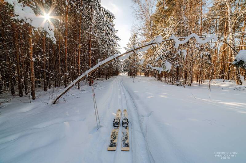 Мартовская прогулка по лесу. фото превью