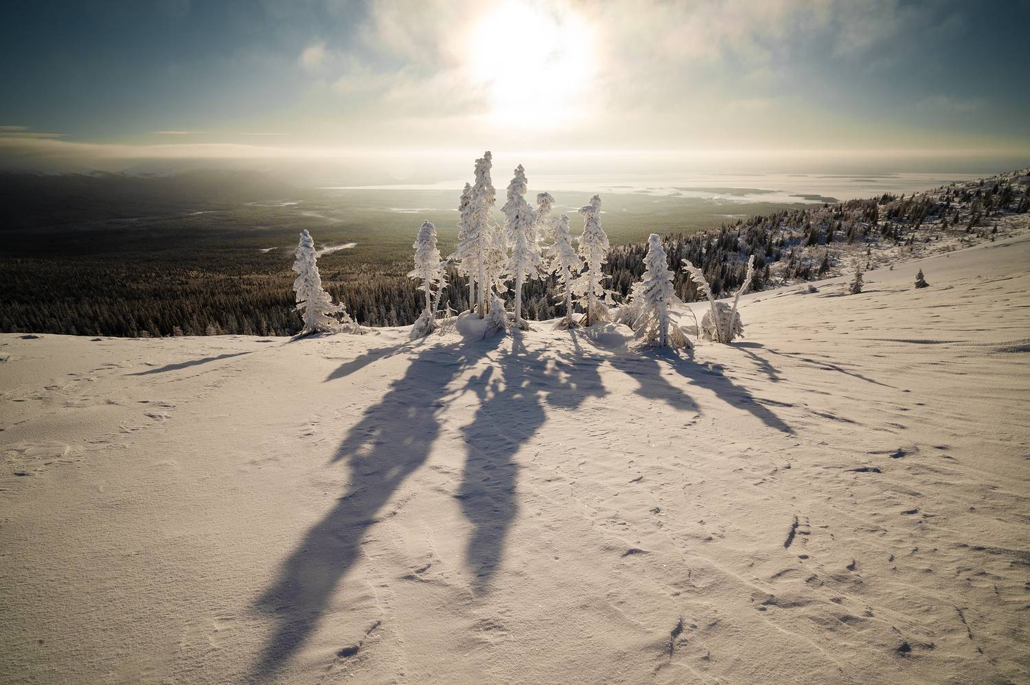 , Ян Сурогин
