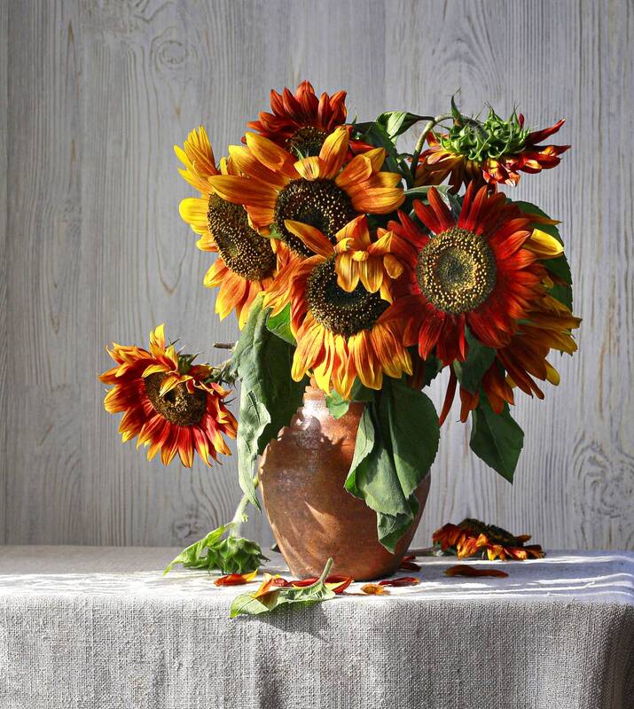 Вместо тюльпанов и мимозы...) фото превью