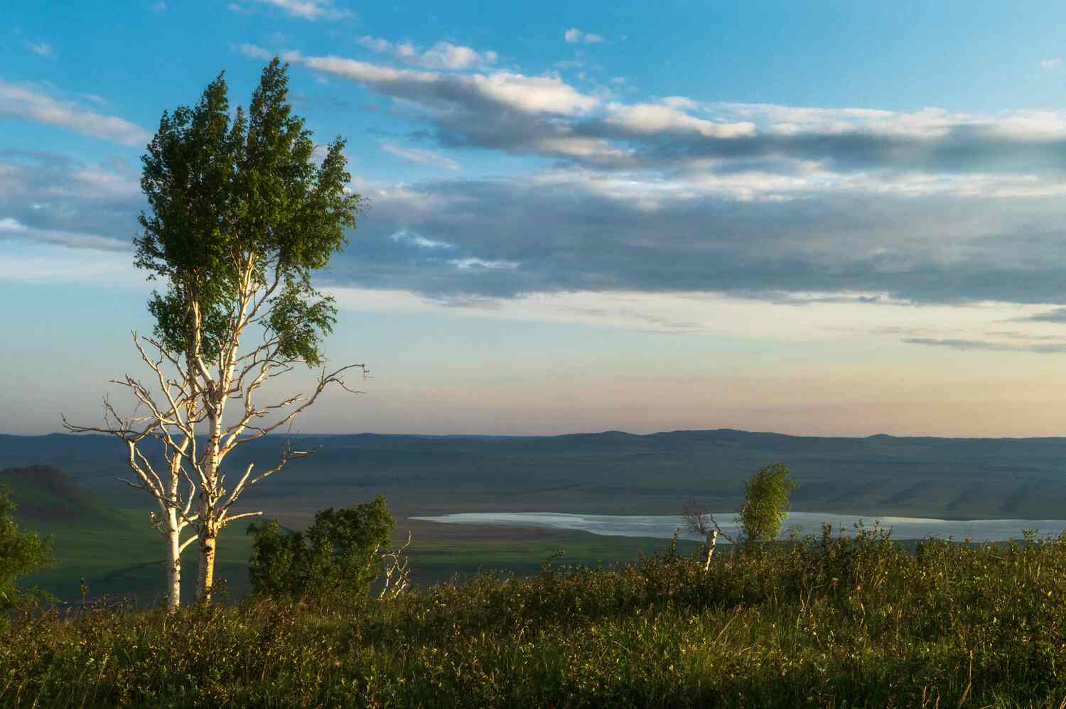 хакасия, сарагаш, Андреева Светлана
