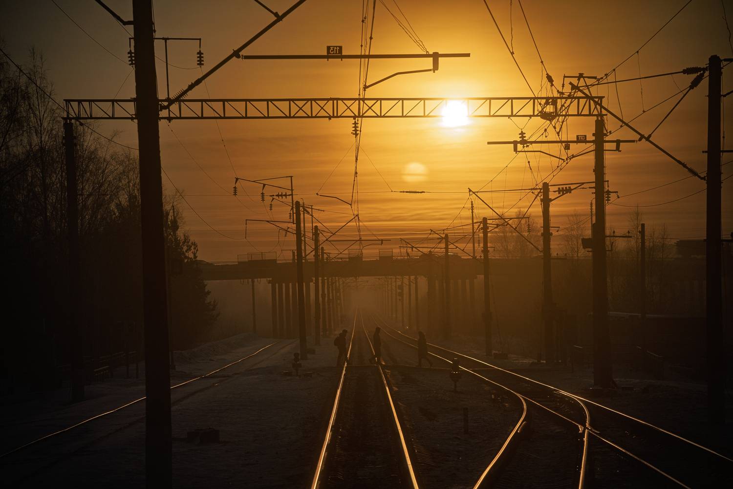 , Алексей Горохов