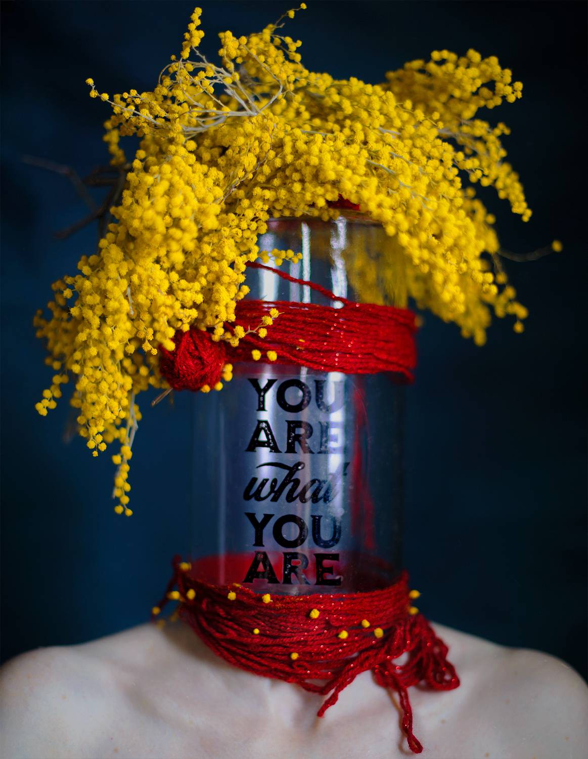 , Кулаченко Екатерина