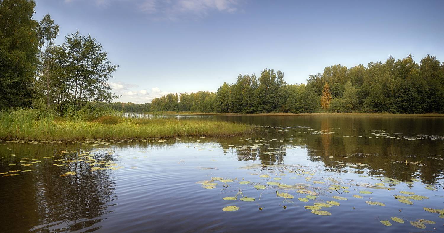 , Сергей Аникин
