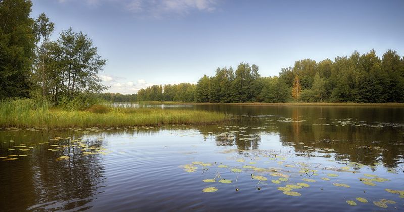 *** фото превью