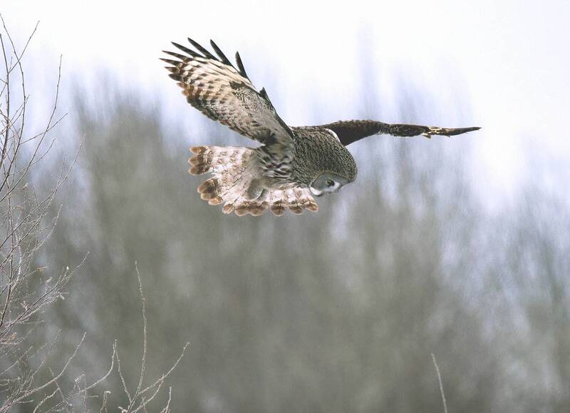 За работой. фото превью