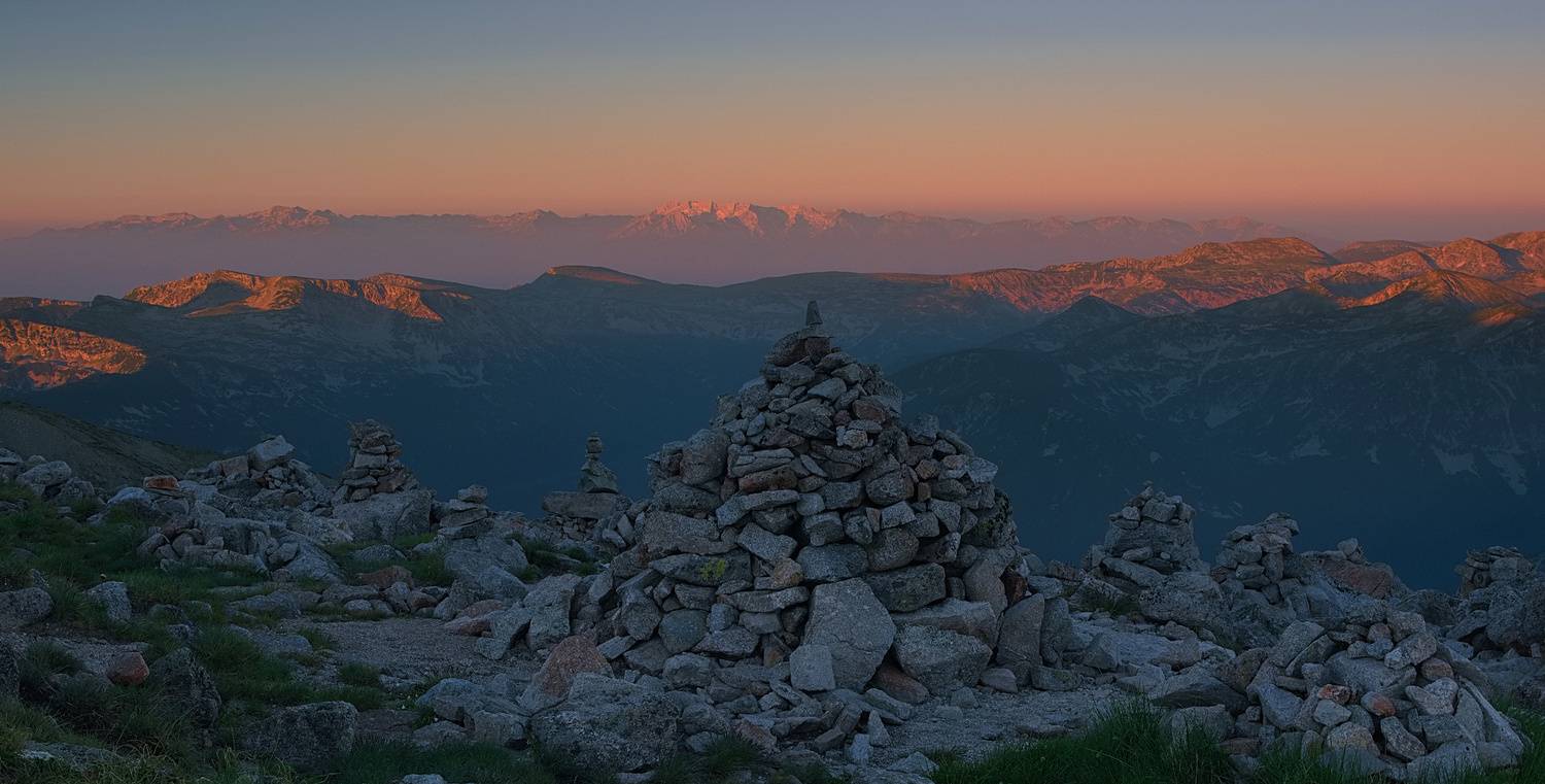 , Wojciech Tarnowski