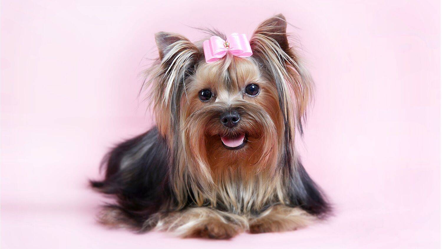 , Ушаков Валерий