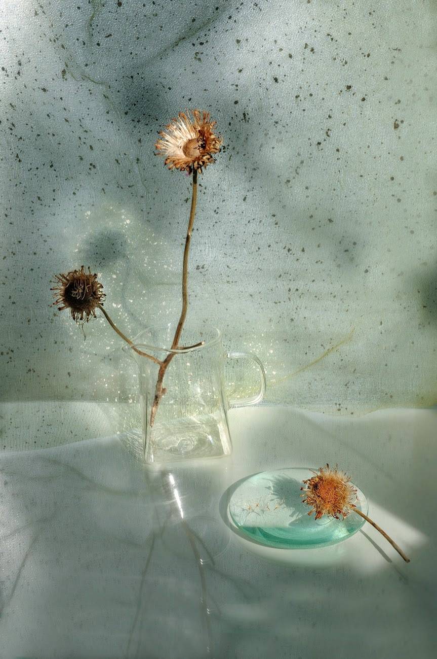 , Ирина Данилова