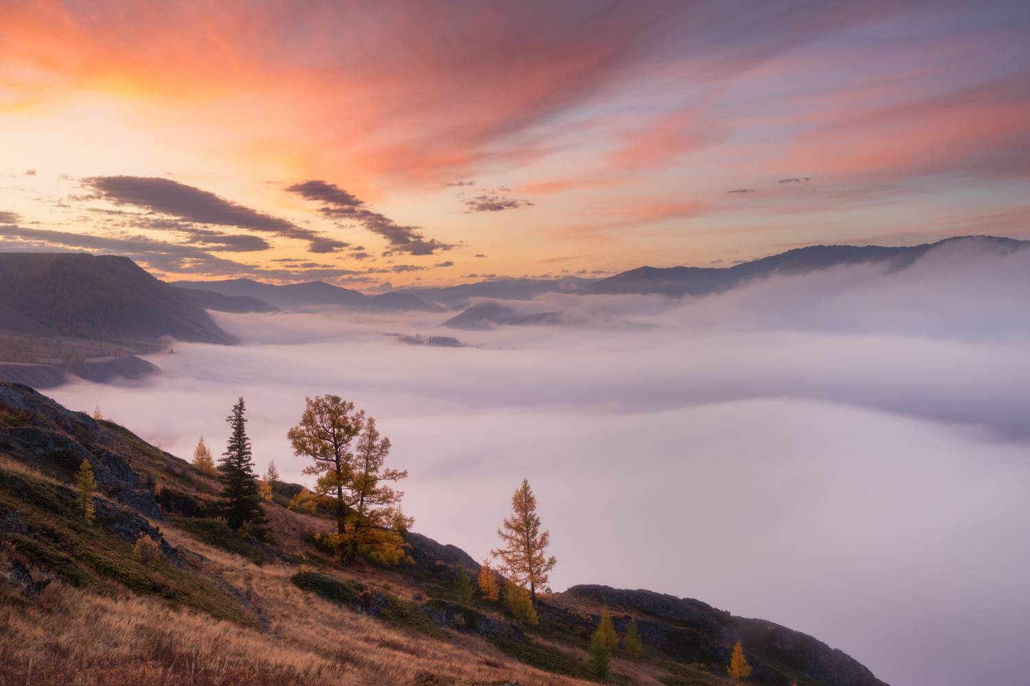 кош-агачский район, республика алтай, горный алтай, осень, рассвет, степь, лиственницы, золотая осень, туман, Алёна Рубан