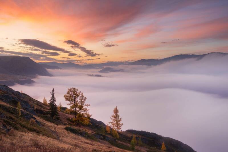 кош-агачский район, республика алтай, горный алтай, осень, рассвет, степь, лиственницы, золотая осень, туман Над морем тумана фото превью