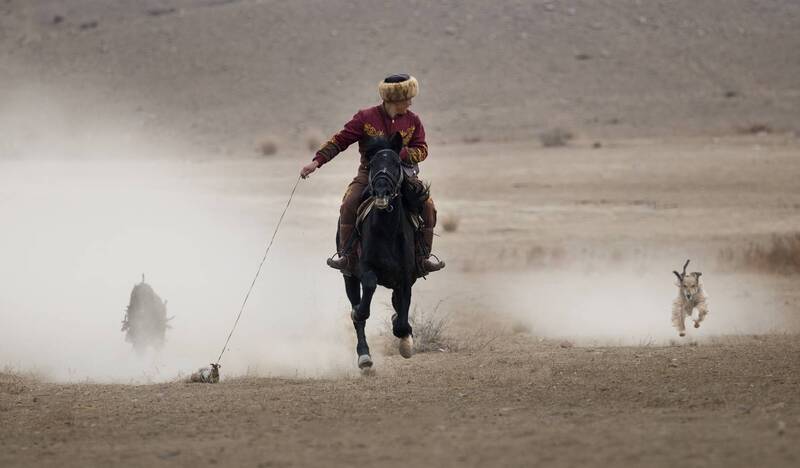 киргизия, охота, беркучи Беркучи фото превью