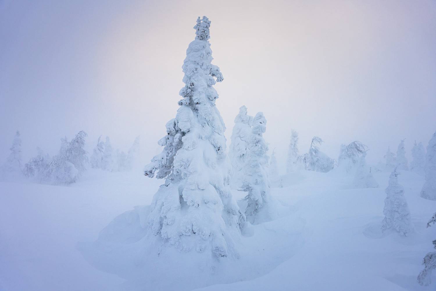 главный уральский хребет, гух, сосьвинский камень, казанский камень, север, урал, снег, куржак, Уфимцев Юрий