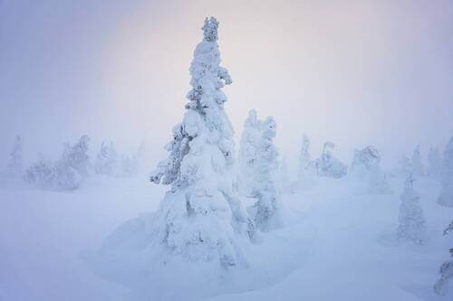 Призрачная нежность
