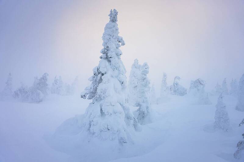 главный уральский хребет, гух, сосьвинский камень, казанский камень, север, урал, снег, куржак Призрачная нежность фото превью