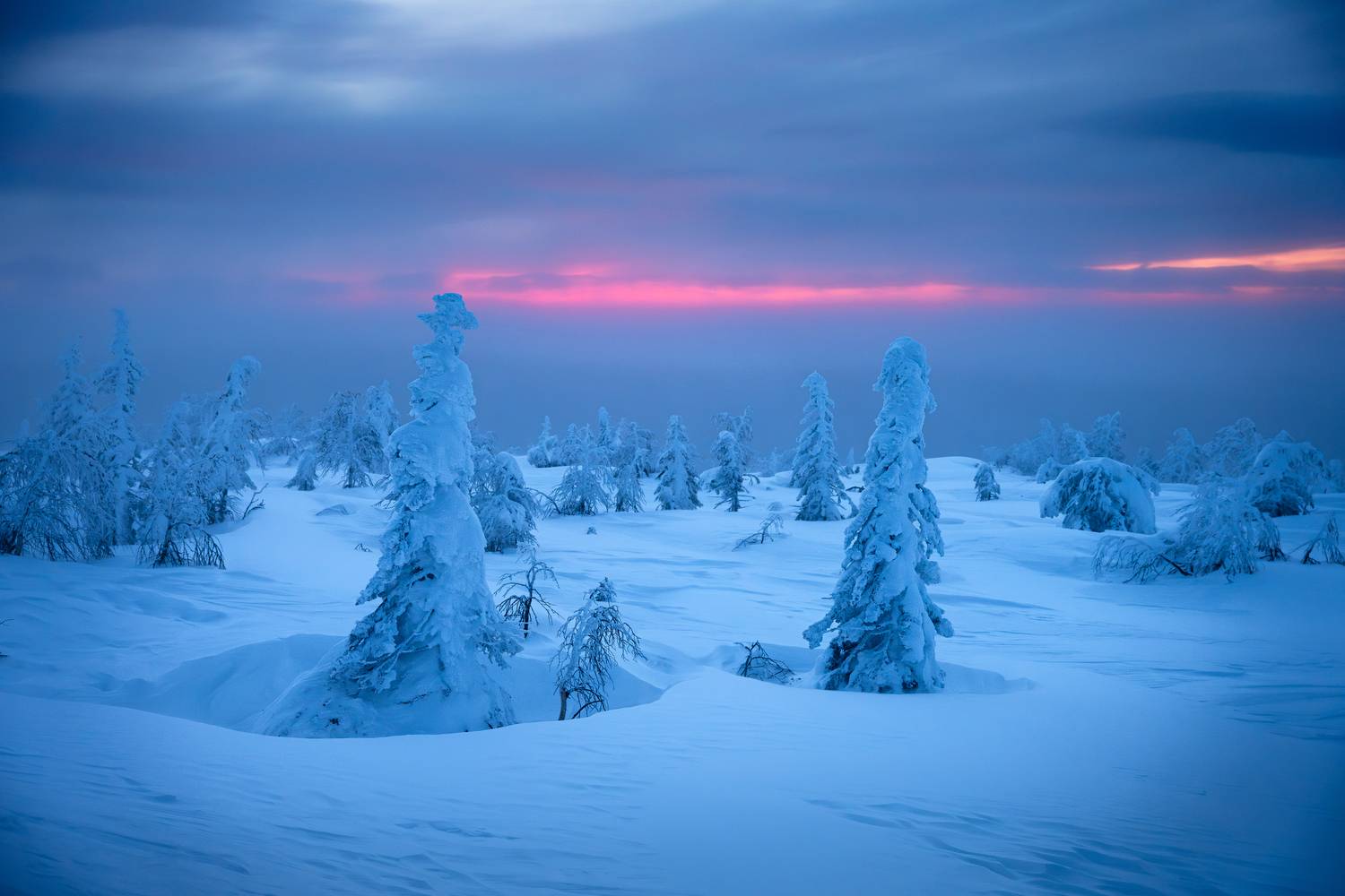 главный уральский хребет, гух, сосьвинский камень, казанский камень, север, урал, снег, куржак, Уфимцев Юрий