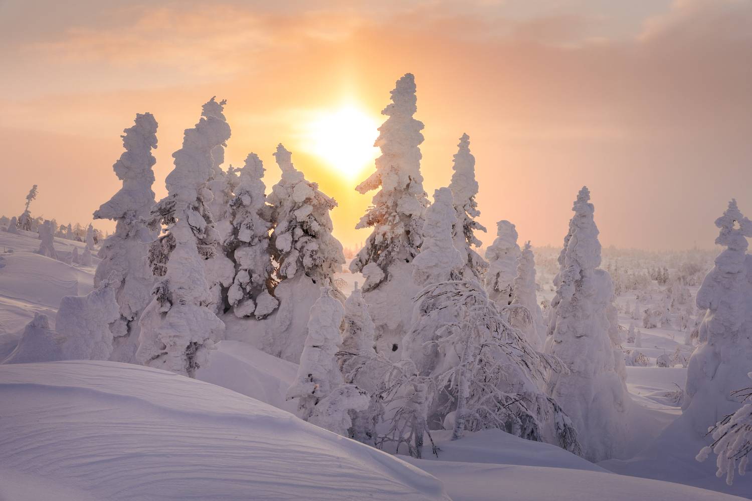 главный уральский хребет, гух, сосьвинский камень, казанский камень, север, урал, снег, куржак, Уфимцев Юрий