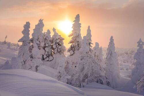 Ледяное тепло