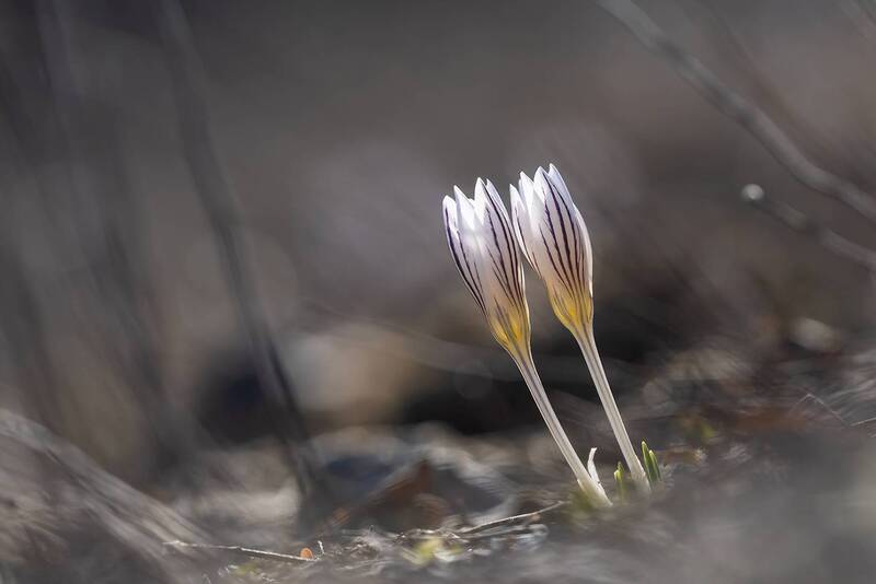 Первая парочка фото превью