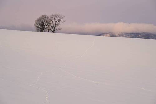 Хайку с холмов Биэй