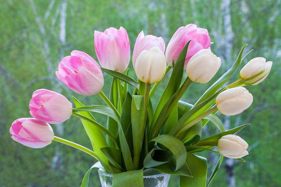 , Бекетова Ольга