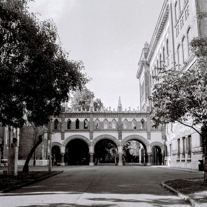 OMIKK, architectural-photography, budapest, hungary, black-and-white, film-photography, ilford-hp5, yashica, medium-format, analog-photography, university, BME, budapest-university-of-technology, technical-university, gothic-revival Academic Gothic фото превью