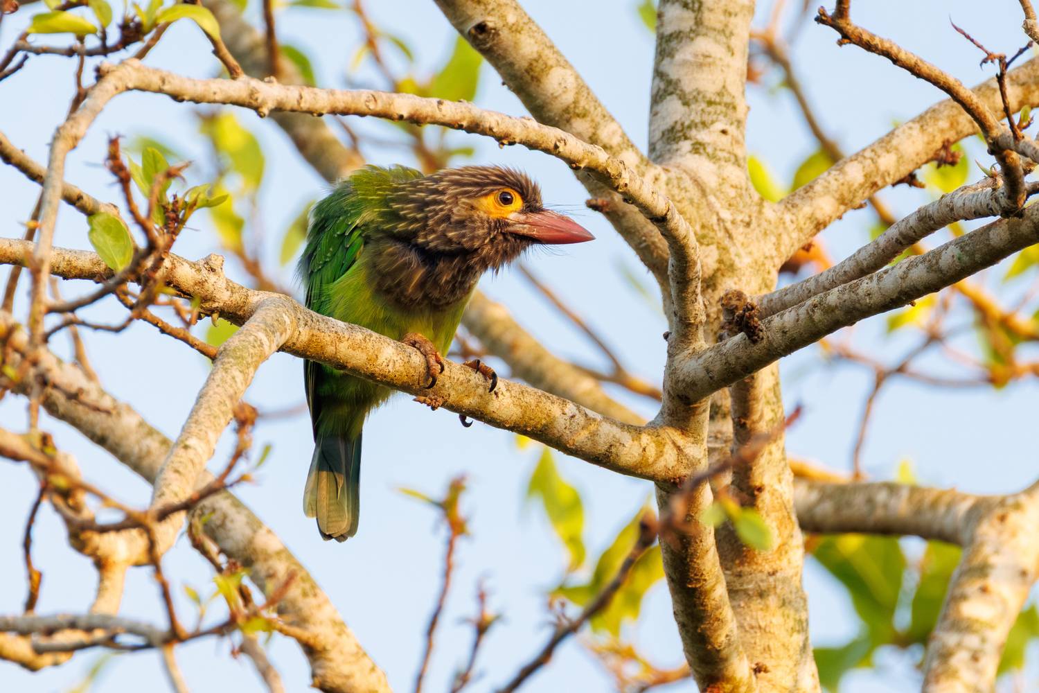 , ssmirs Сергей