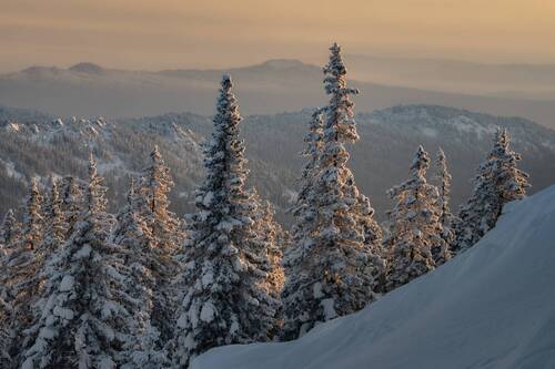 Елочки на Откликном гребне Национальный парк Таганай